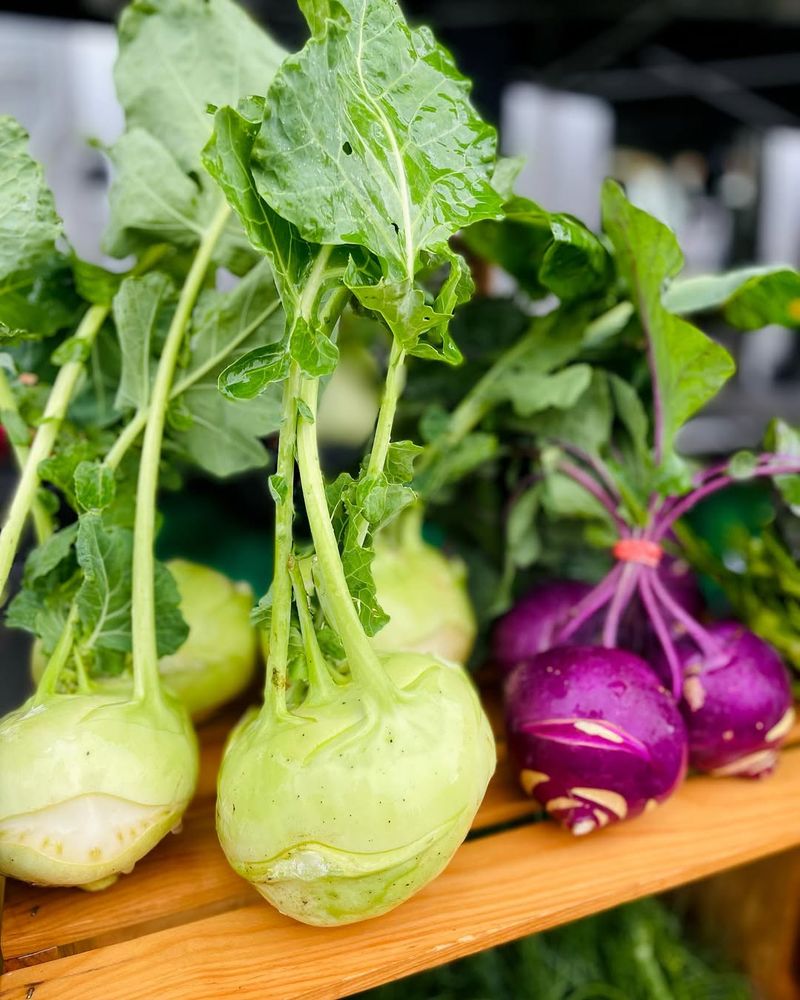 Kohlrabi