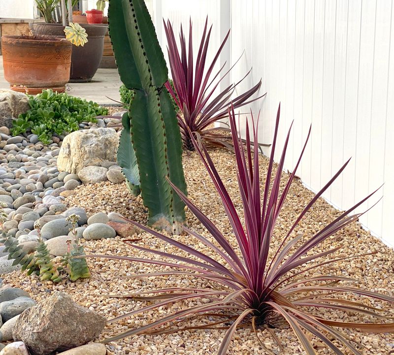 Gardens Are Being Designed With Clear Purpose And Function