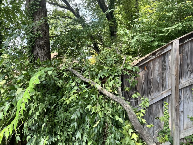 Documentation Protects You Before and After Incidents