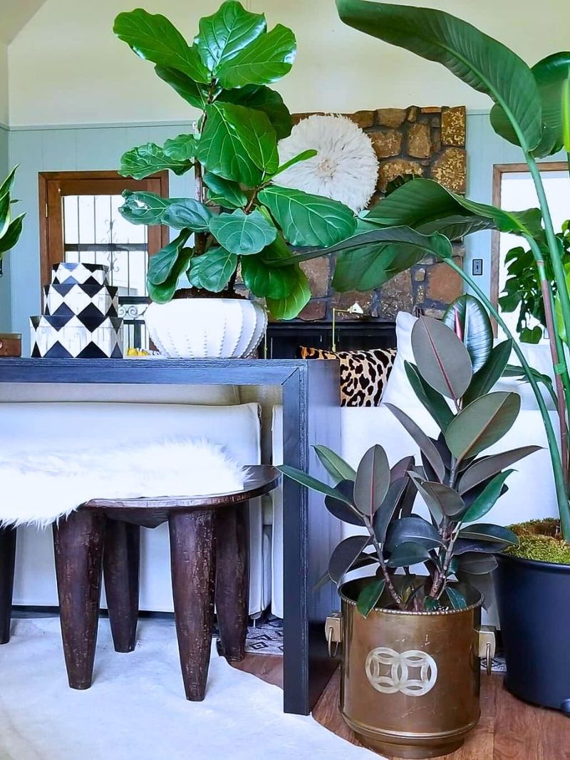 Incorporate Statement Plants As Focal Points