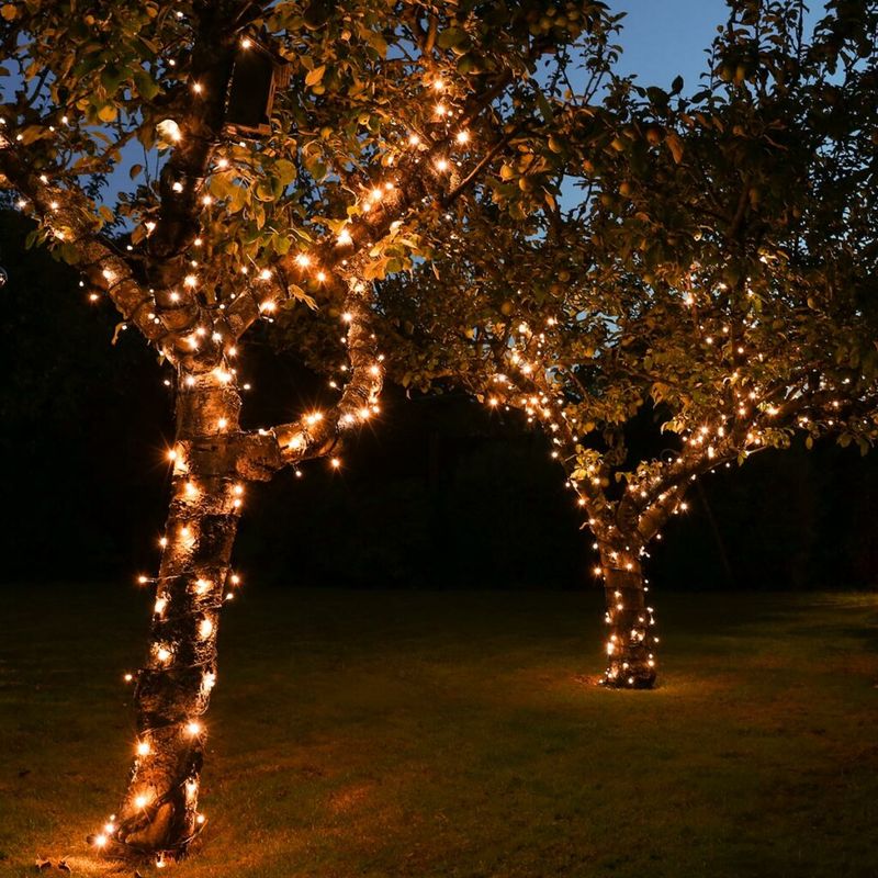 Install Outdoor String Lights Around Fruit Trees For Extra Heat