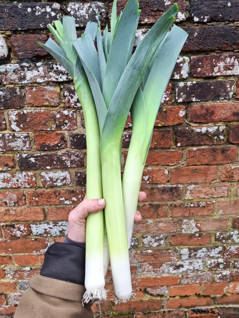 Leeks