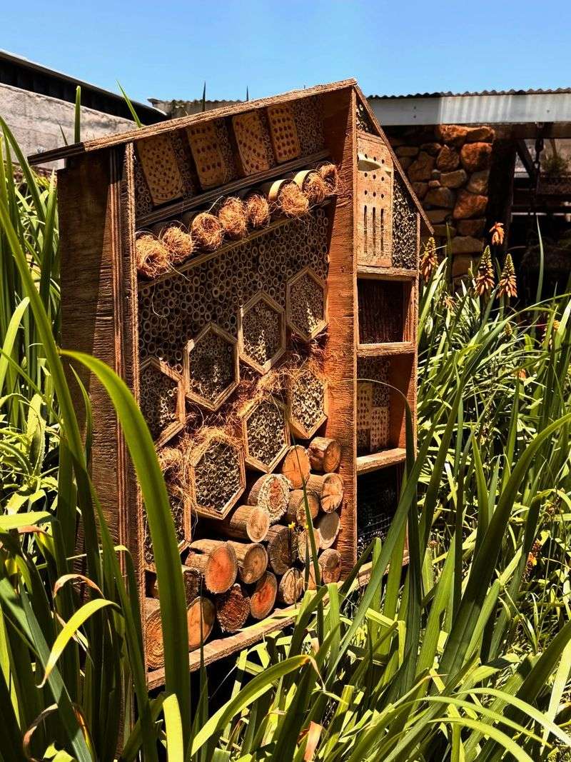 Pollinator And Wildlife Habitat Planning