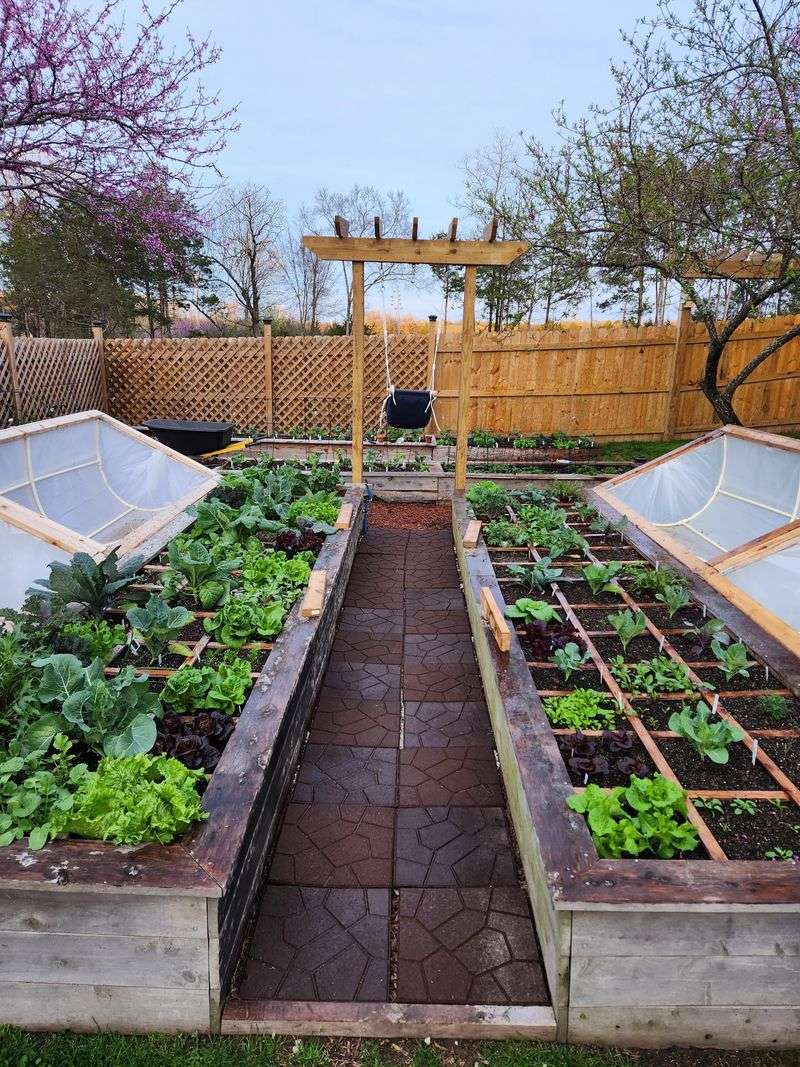 Plan Your Garden Layout