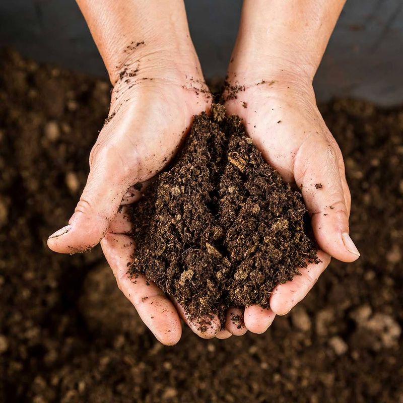 Improve Soil With Compost And Amendments