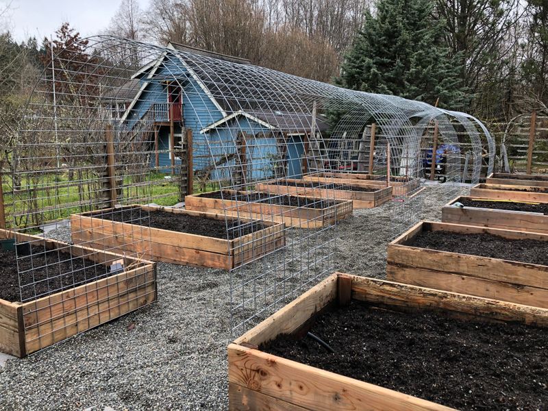 Install Trellises and Garden Supports