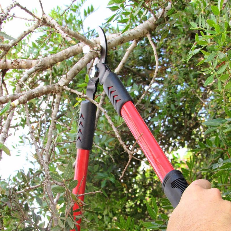Loppers For Thick Branches And Shrubs