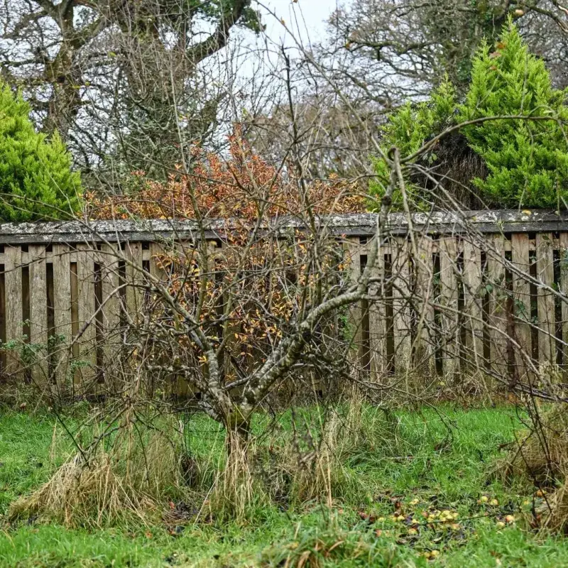 Understanding Florida's Property Line Laws