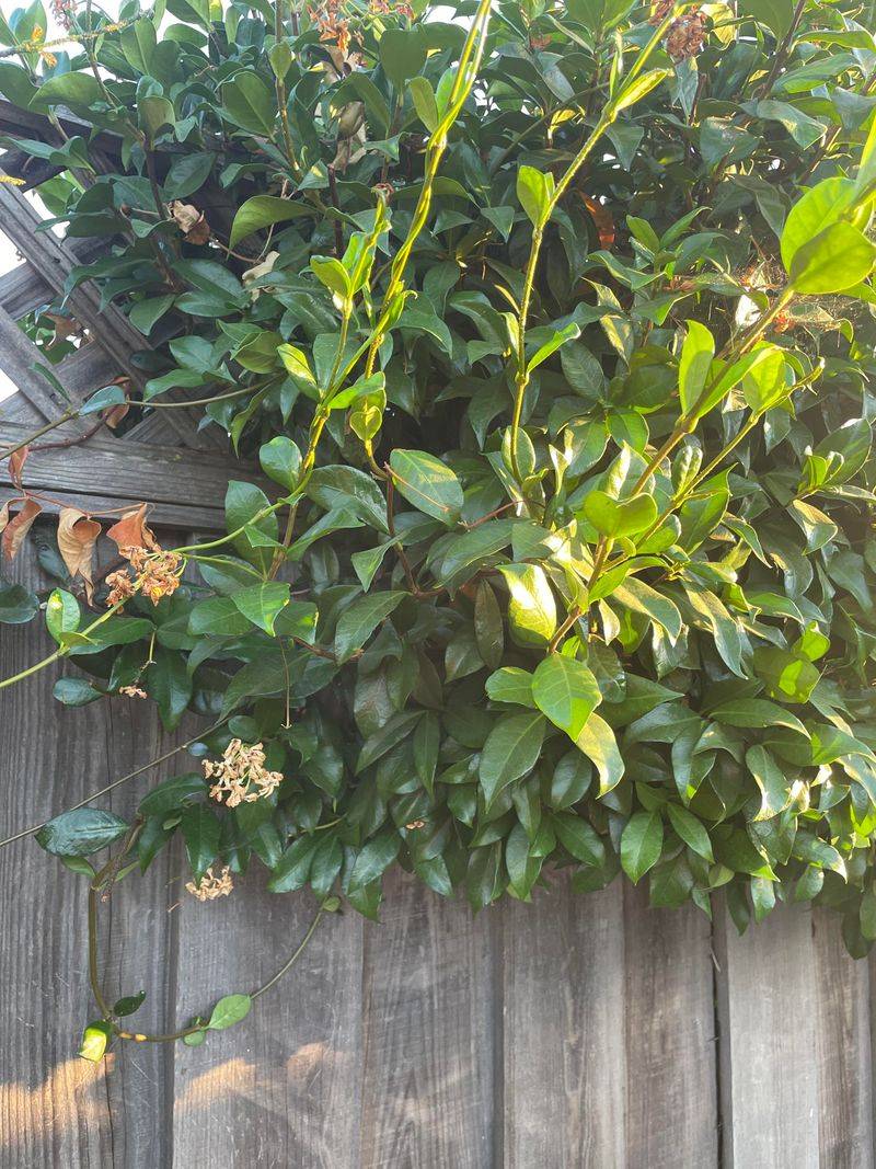 Shared Responsibility Can Apply In Certain Situations