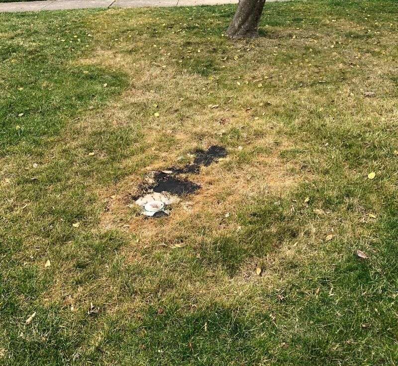 Chemical Pesticides And Herbicides