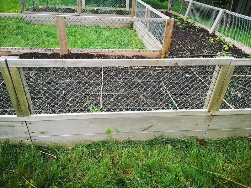 Install Proper Fencing Around Gardens And Landscaping