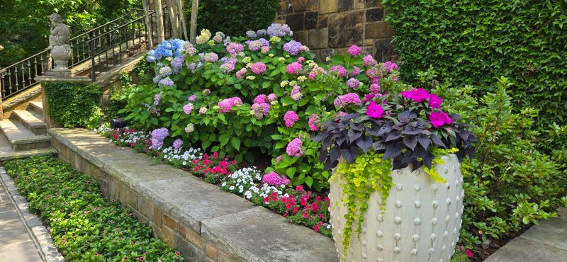 Look For Sheltered Corners