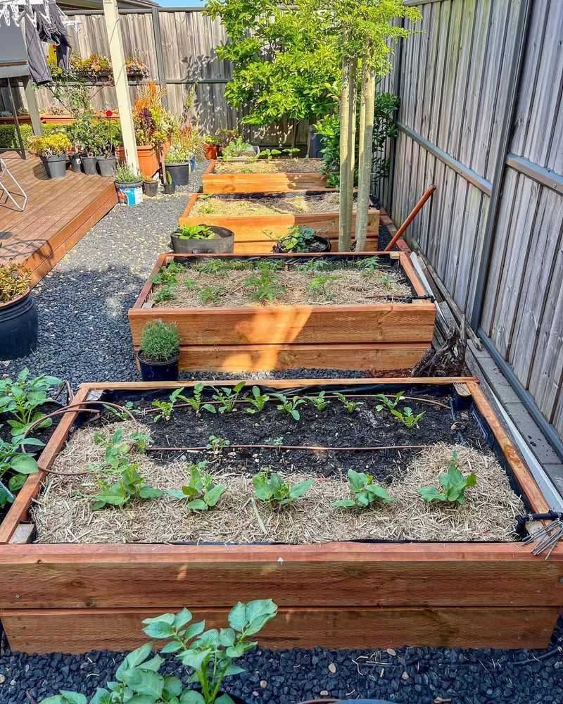 Prepare Vegetable Beds for Early Planting