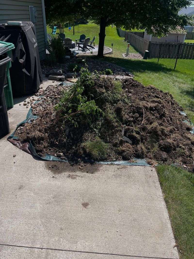 Clean Up Winter Debris The Right Way