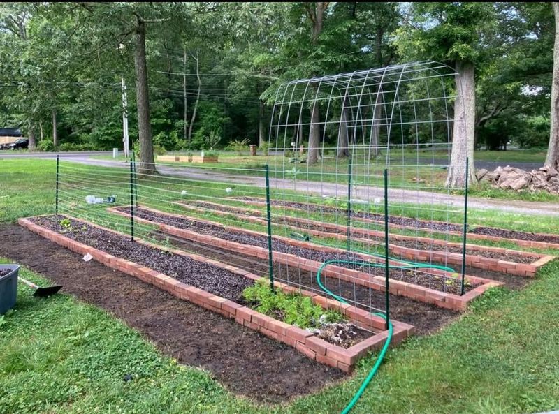 Resuming Normal Care Only When Conditions Improve