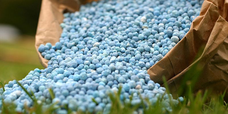 The Chemical Dyes In Blue Fertilizers Serve No Purpose And May Be Harmful