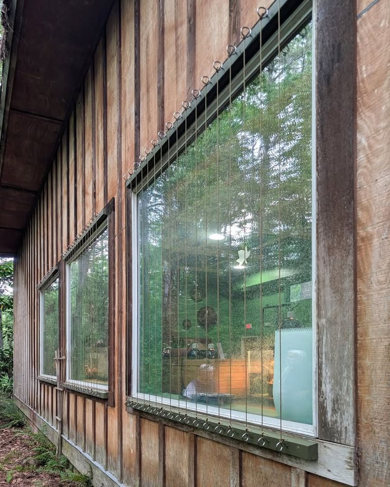 Bird-Friendly Window Treatments Prevent Collisions