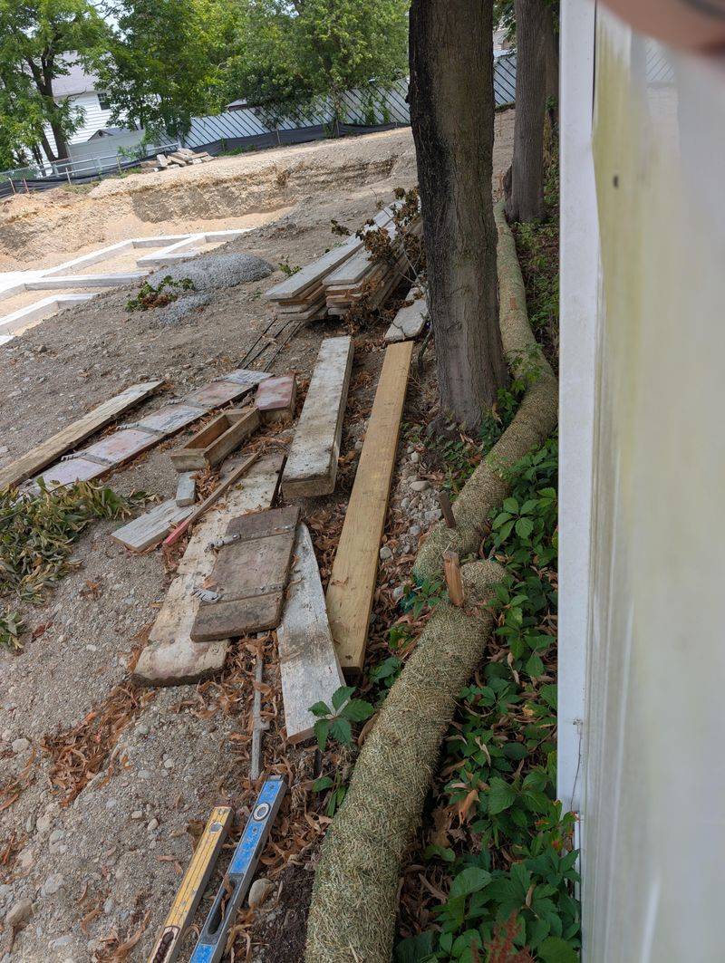 Trees Declared A Public Nuisance After Official Inspection