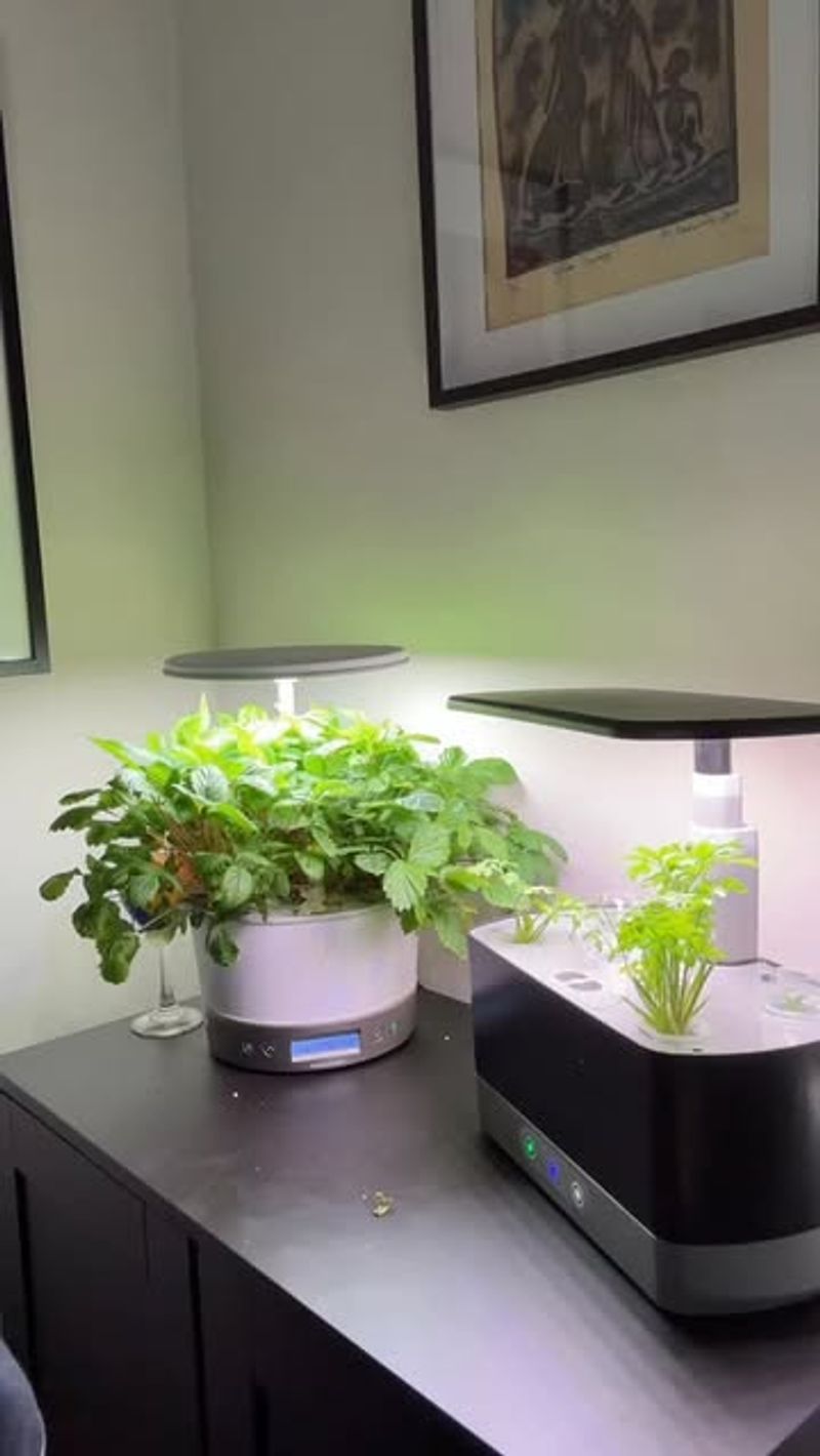 Start With Healthy Plants Instead Of Seeds