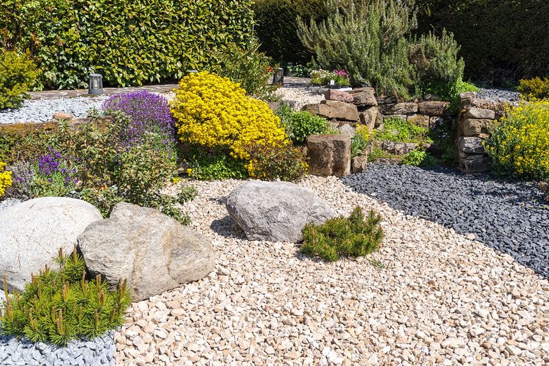 Replace High-Maintenance Lawns With Groundcovers Or Gravel