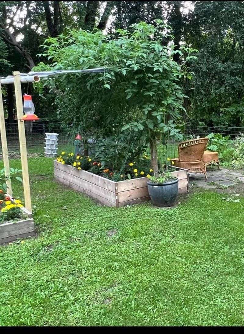 Rotate Crops Each Season