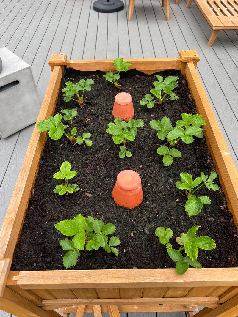 Plant At The Right Time For Your Zone