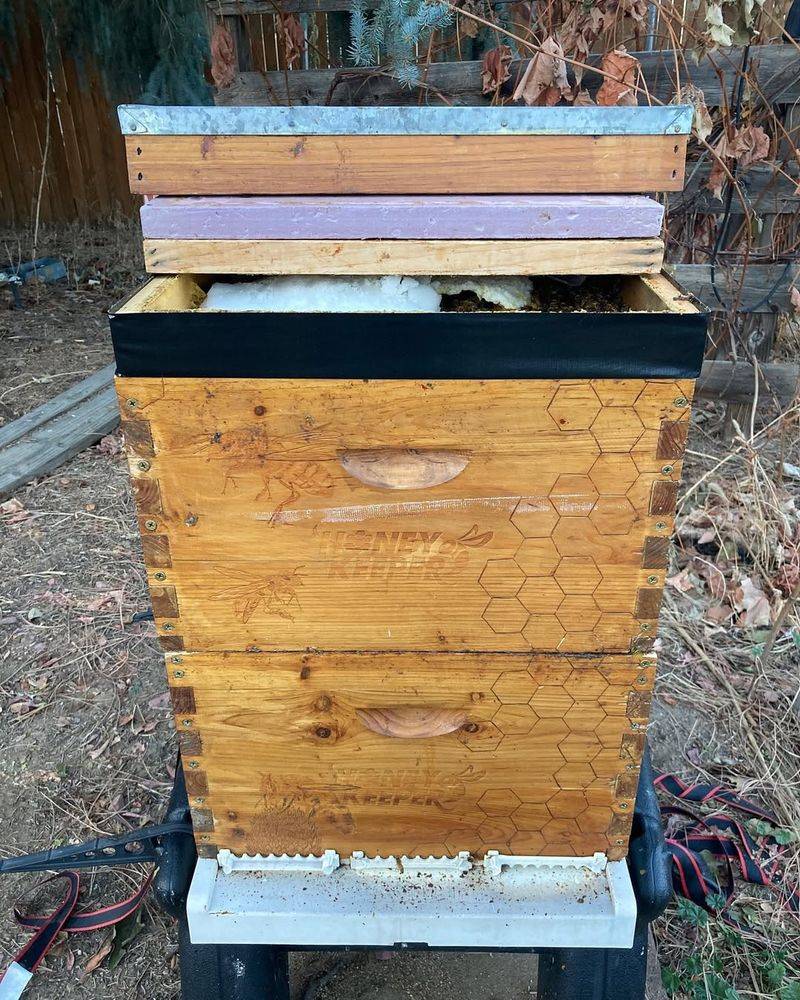 Limit The Number Of Hives Allowed