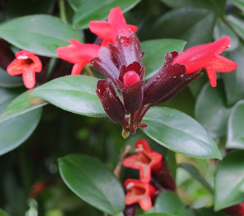 Make Clean Cuts In The Right Spot