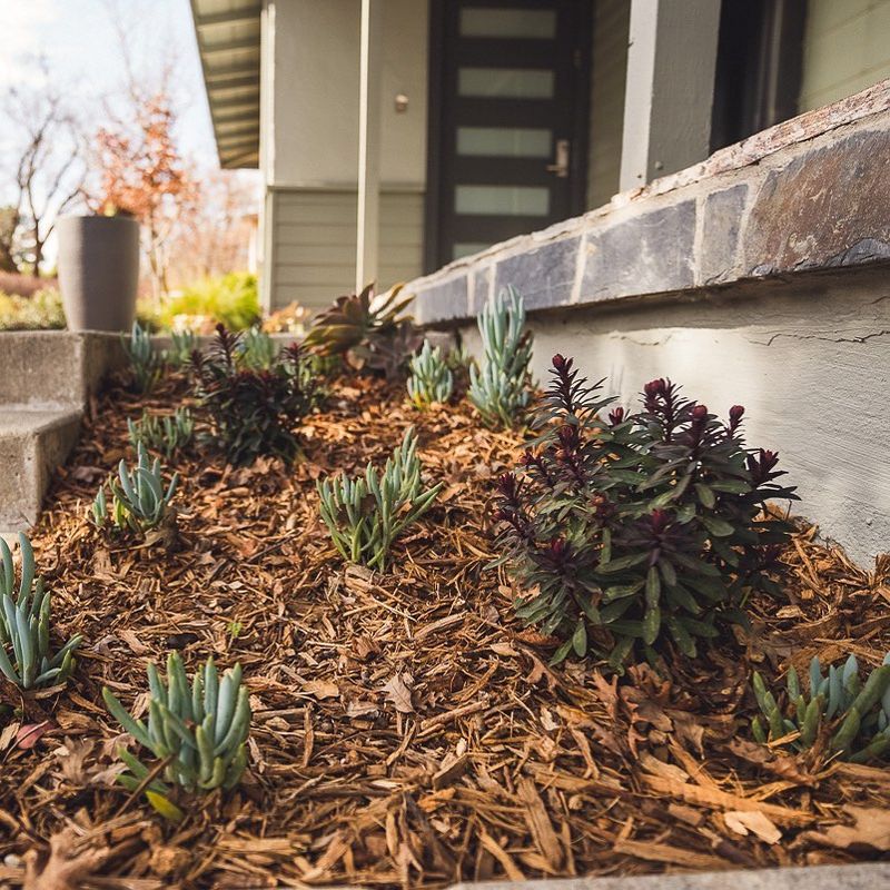 Apply Thick Mulch Layers