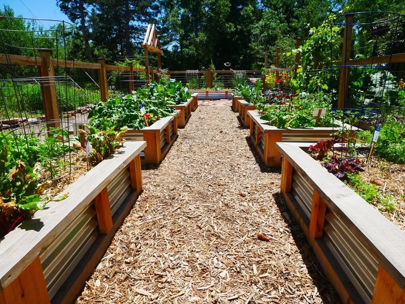 Use Raised Beds To Simplify Garden Care