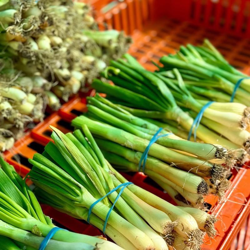 Select Fresh Green Onions From The Store