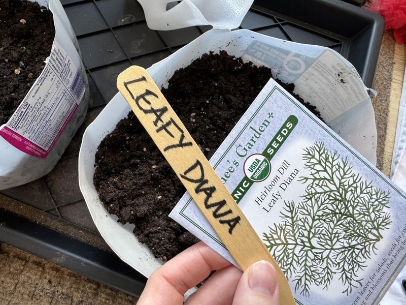 Select Seed That Work Well