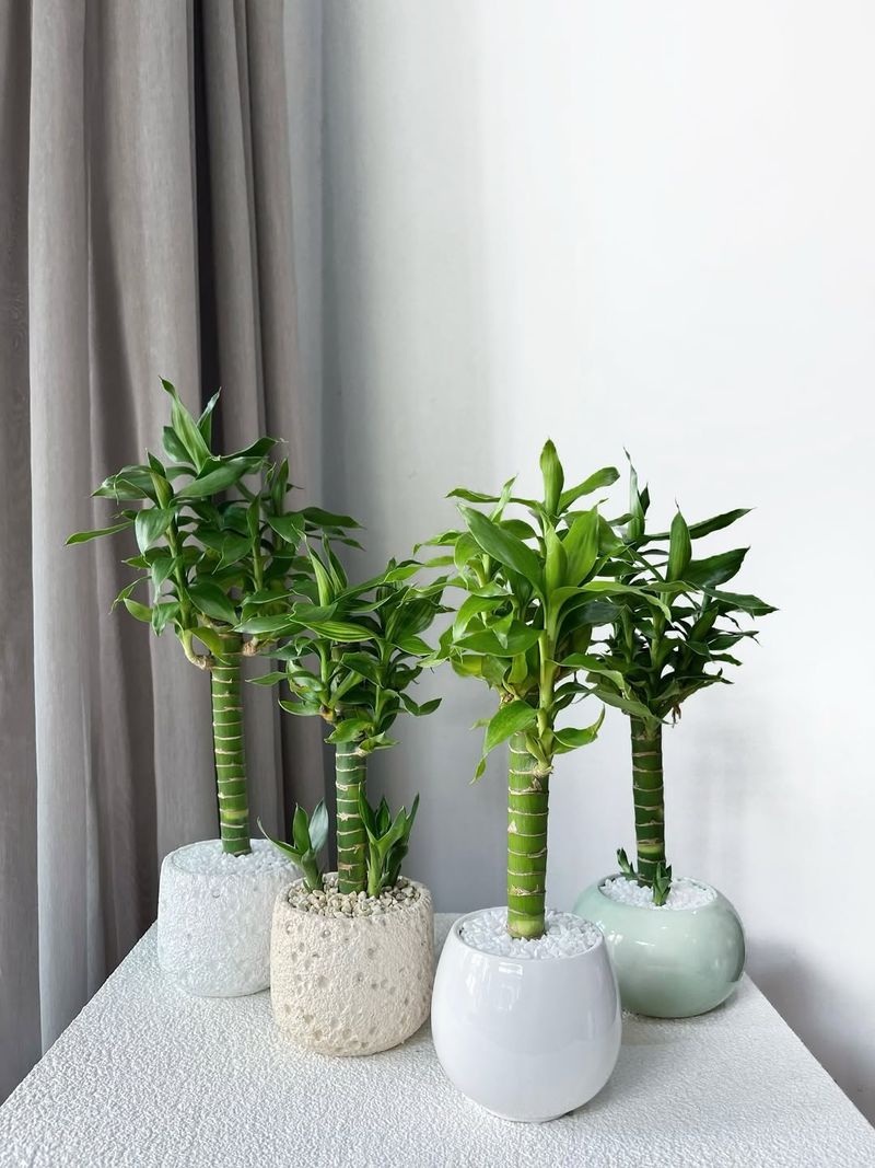 Find The Perfect Lighting Spot