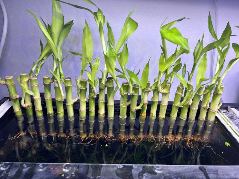 Find The Perfect Lighting Spot Indoors