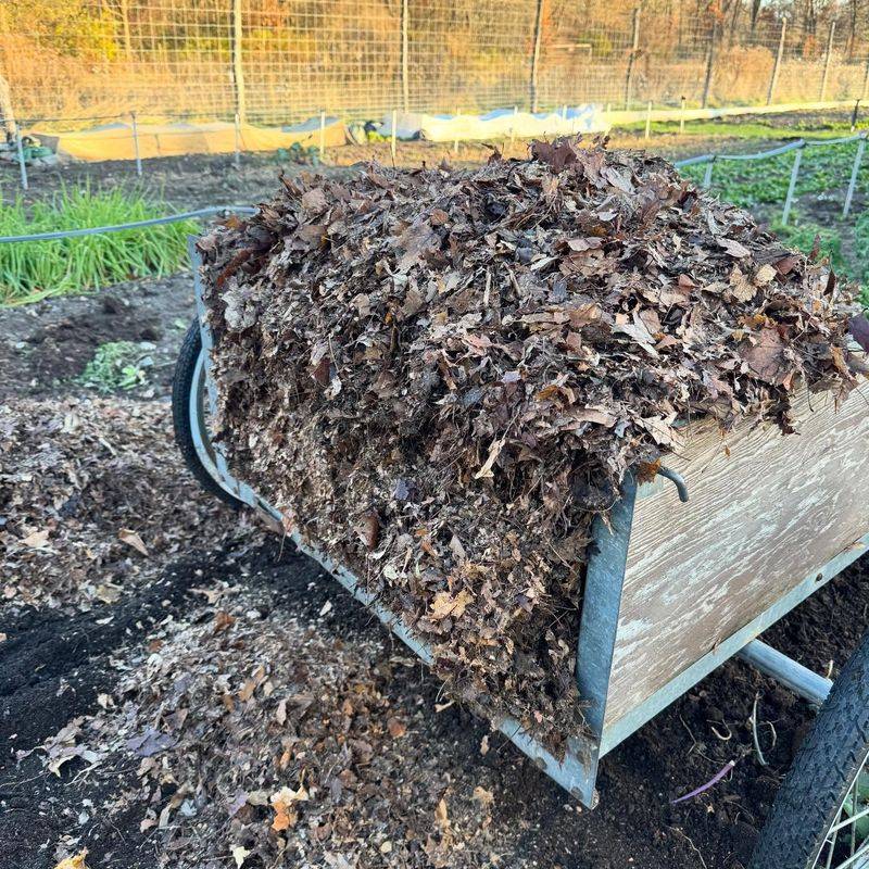 Test and Improve Your Georgia Soil Quality