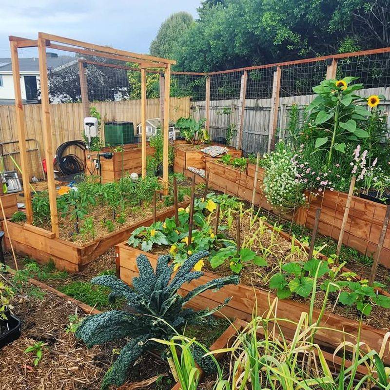 Start Small And Expand Gradually