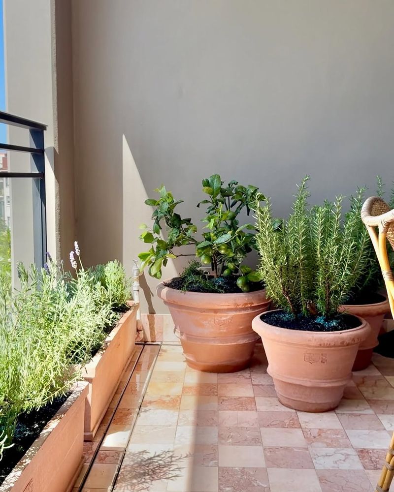 Select Containers with Proper Drainage Systems