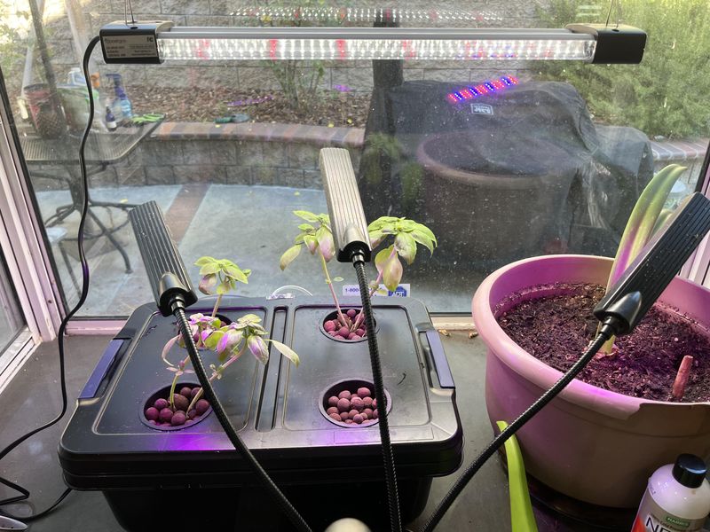 Invest in Quality Grow Lights