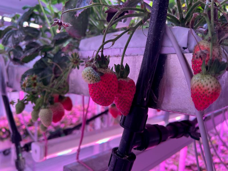 Provide Adequate Lighting