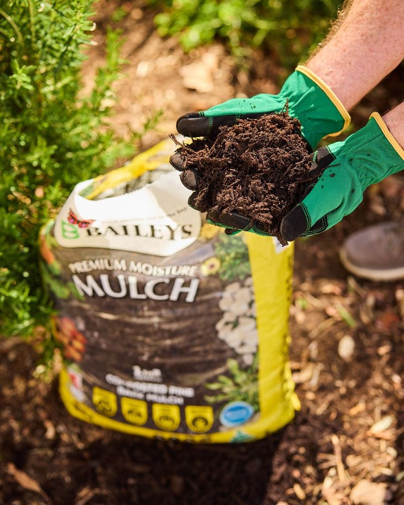 Understanding How Mulch Affects Moisture Retention