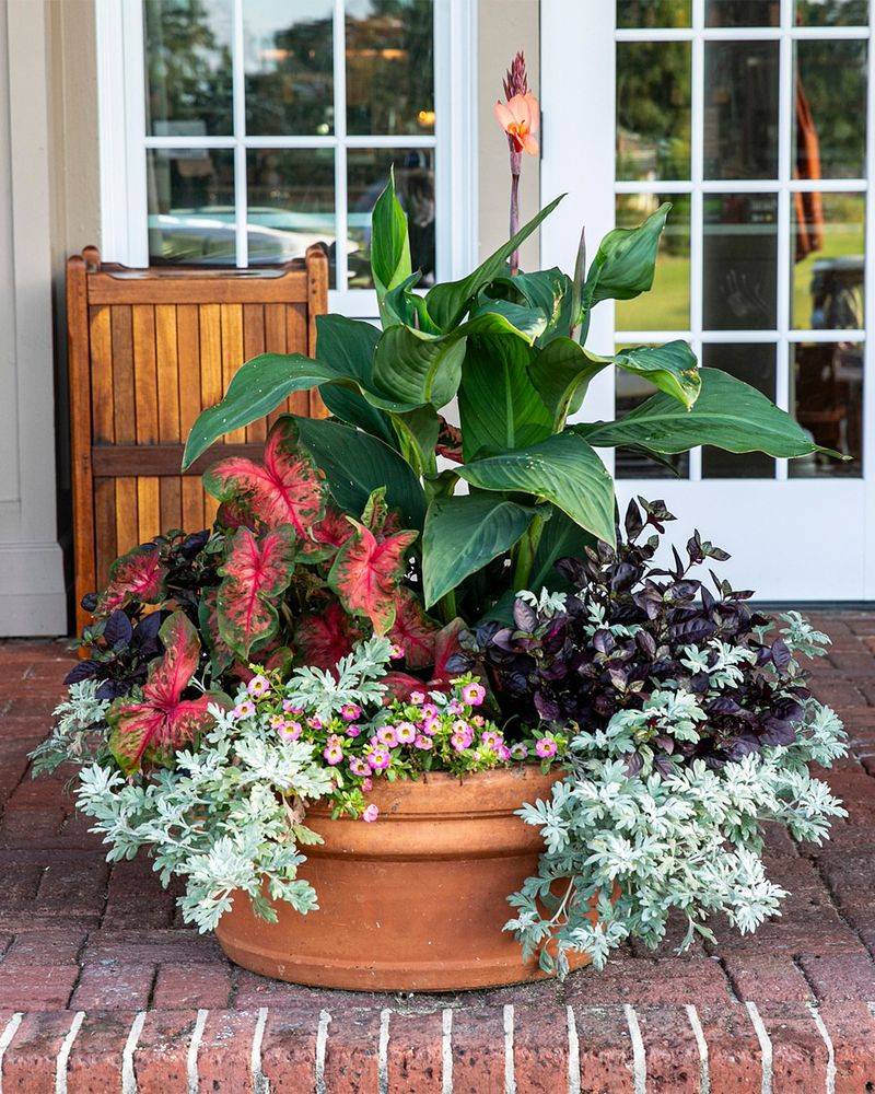 Using Quality Potting Mix For Consistent Results