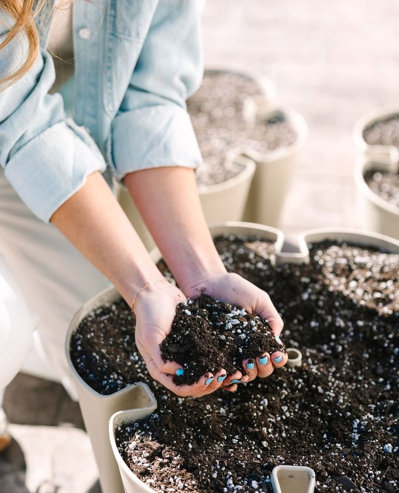 The Best Soil Mix For Sweet Strawberries