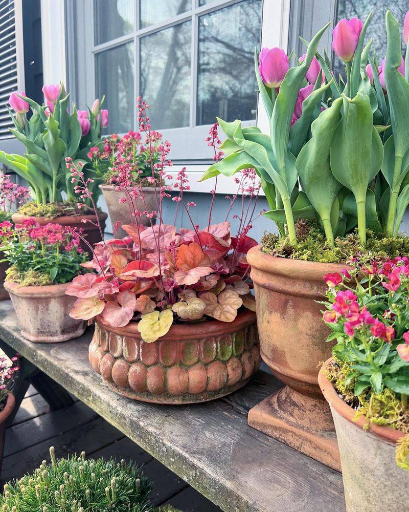 Picking Containers That Support Healthy Blooms