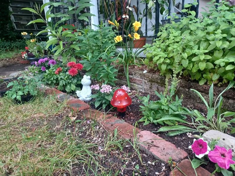 Skipping Soil Preparation Steps Entirely