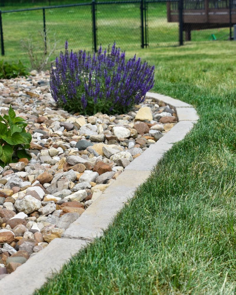 Border Foundation Plantings