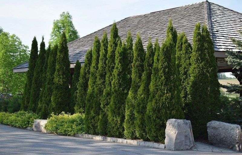 Getting Permission Can Prevent Escalation