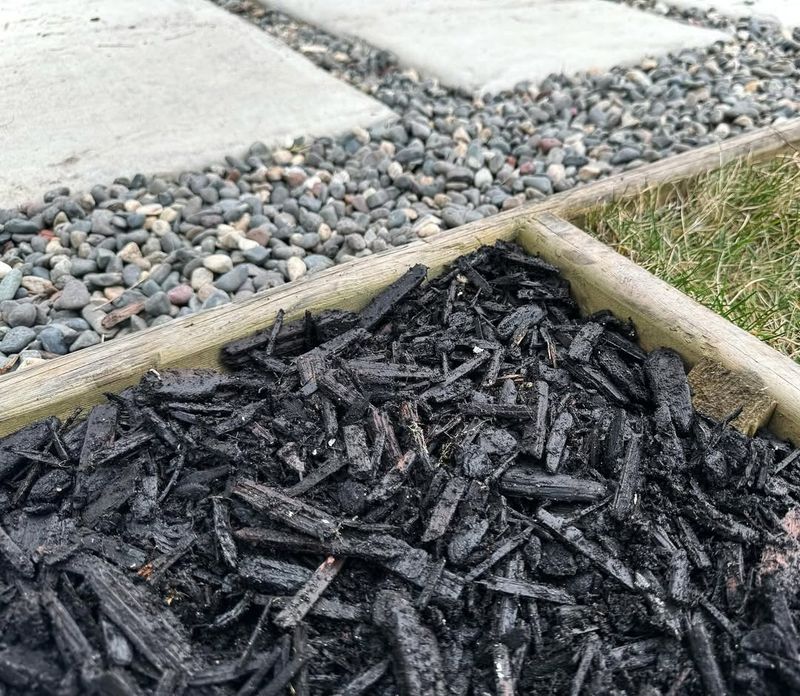 Mulch Pathway With Timber Edging