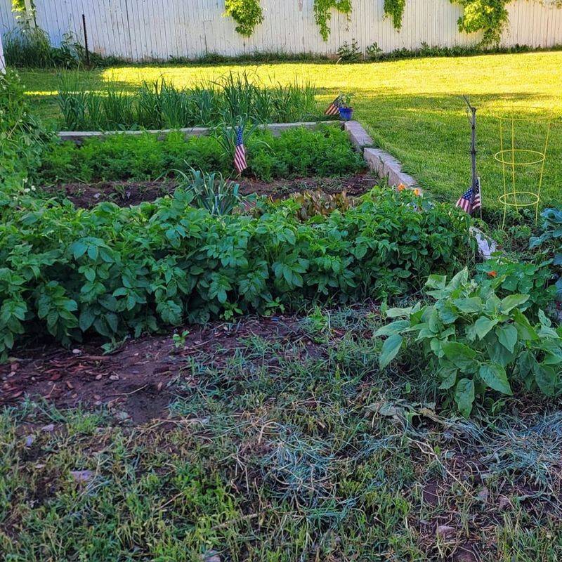 Plan Your Spring Garden Layout