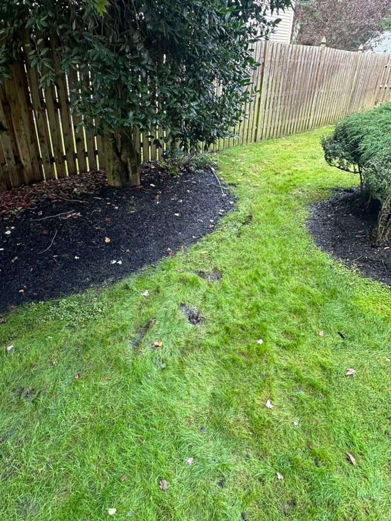 Watch For Standing Water After Heavy Rain