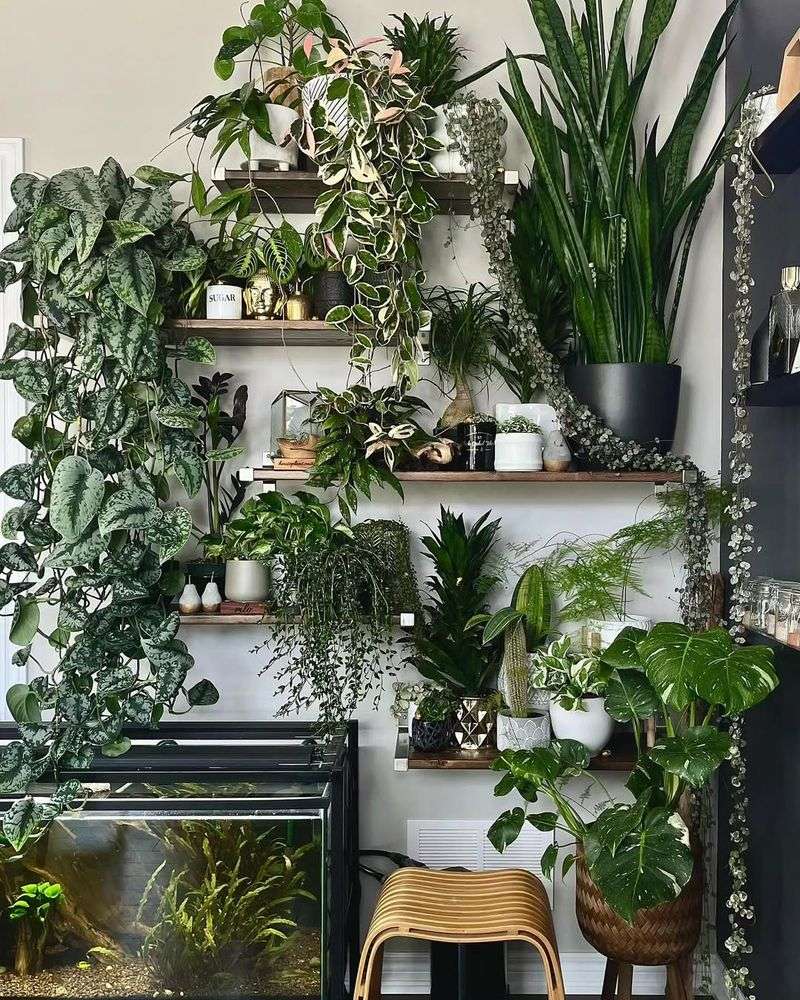 Rotate Plants To Prevent Leaning And Stress